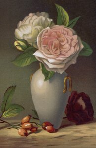Camellias